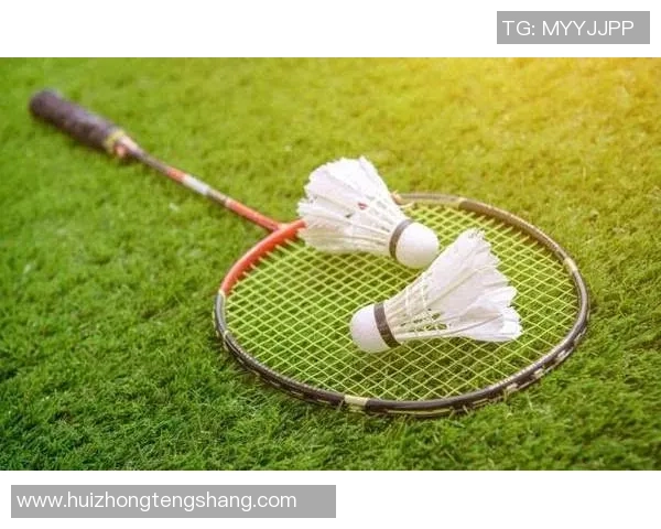 羽毛球装备选购指南：如何选择适合的护膝产品推荐